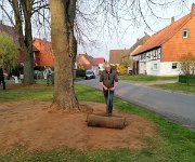 2025-04-11 - Arbeitseinsatz Thie- und Kirchplatz (09)